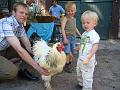 Haehnewettkraehen der Kreisjugend des Kreisverbandes Guetersloh 050
